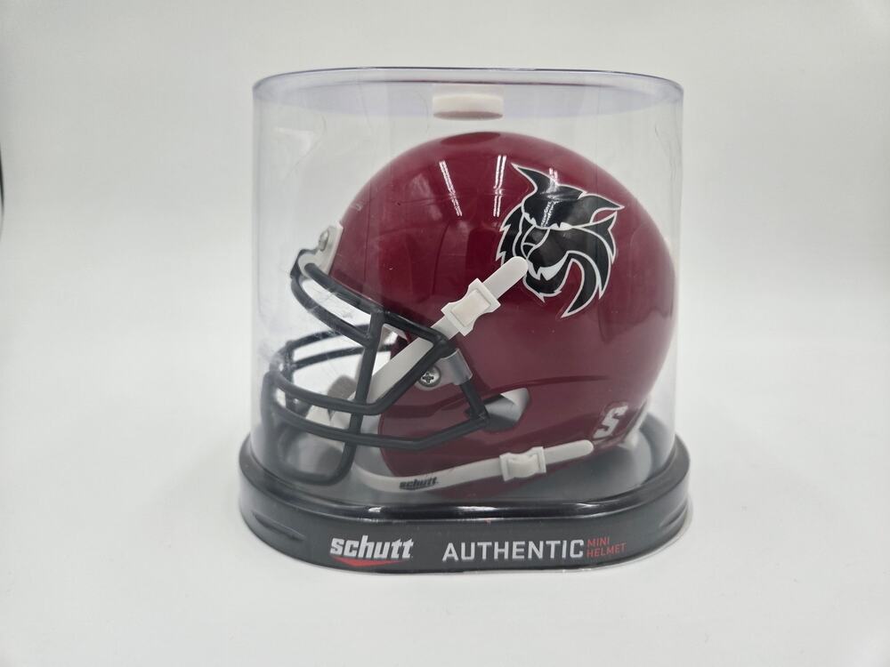 Central Washington Wildcats Schutt Mini Football Helmet New
